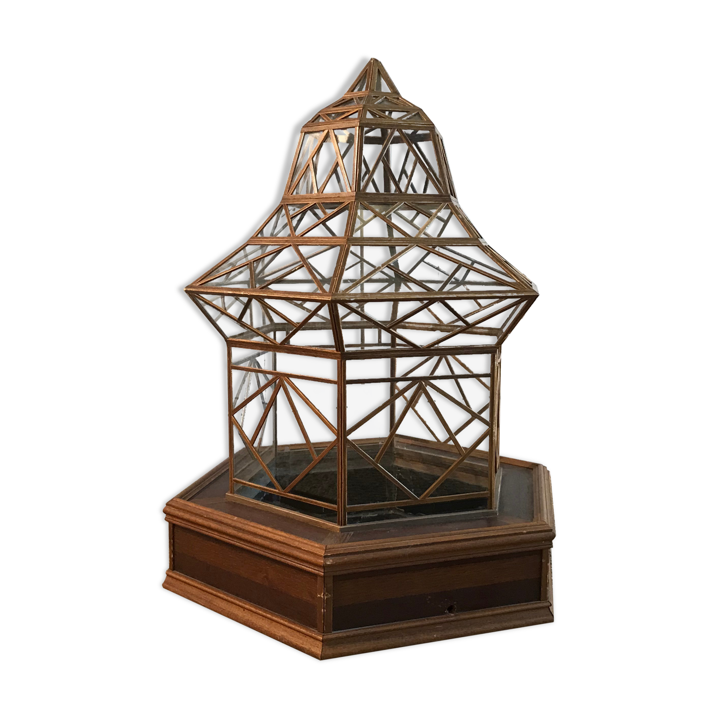 Cabinet of curiosity nineteenth century