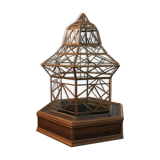 Cabinet de curiosité XIXe