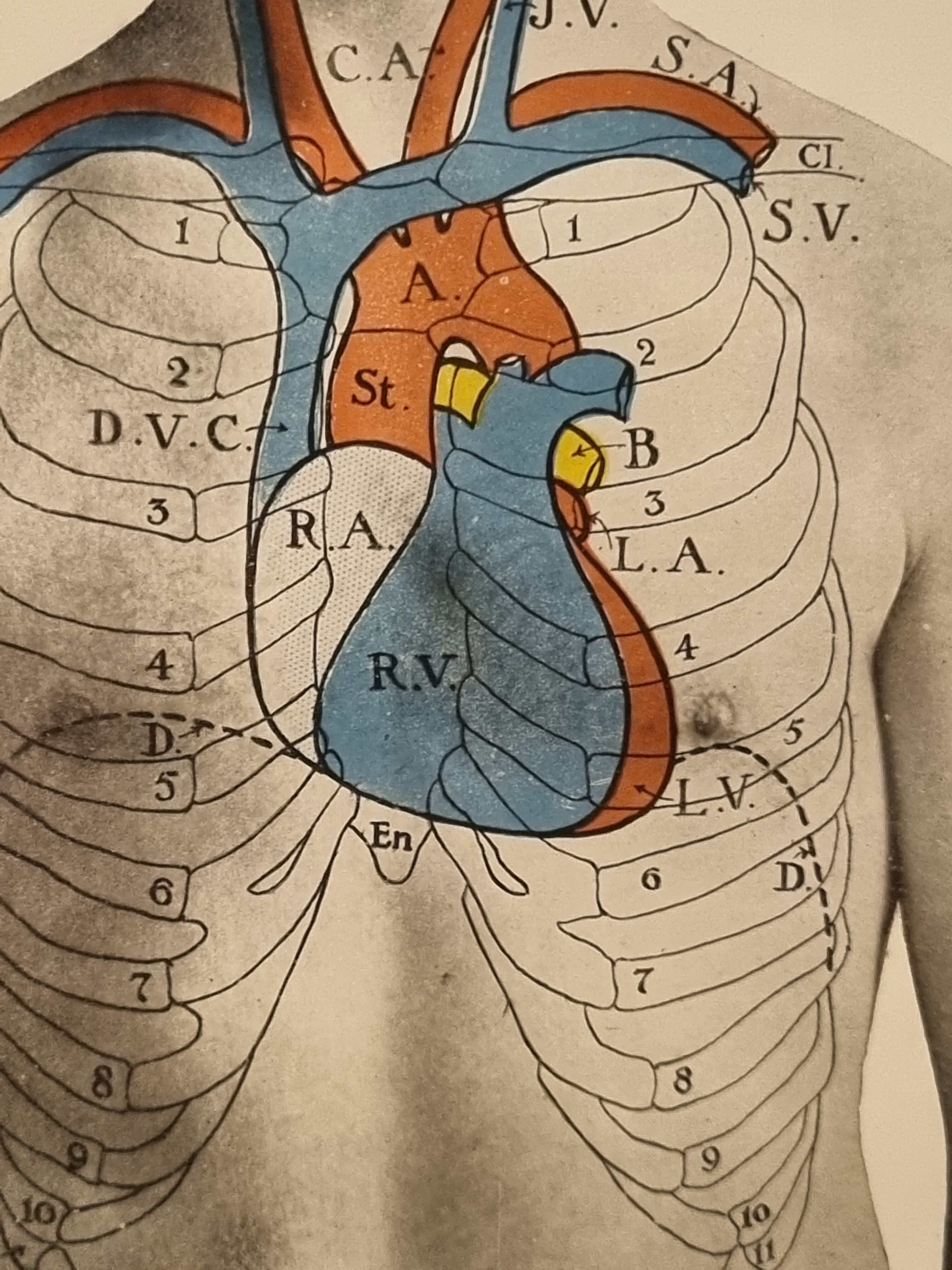 Photo frame book medicine