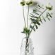Vase en cristal / Börne Augustsson / Åseda glasbruk / Suède / années 1940