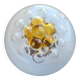 Globe vintage Mazzega : Murano