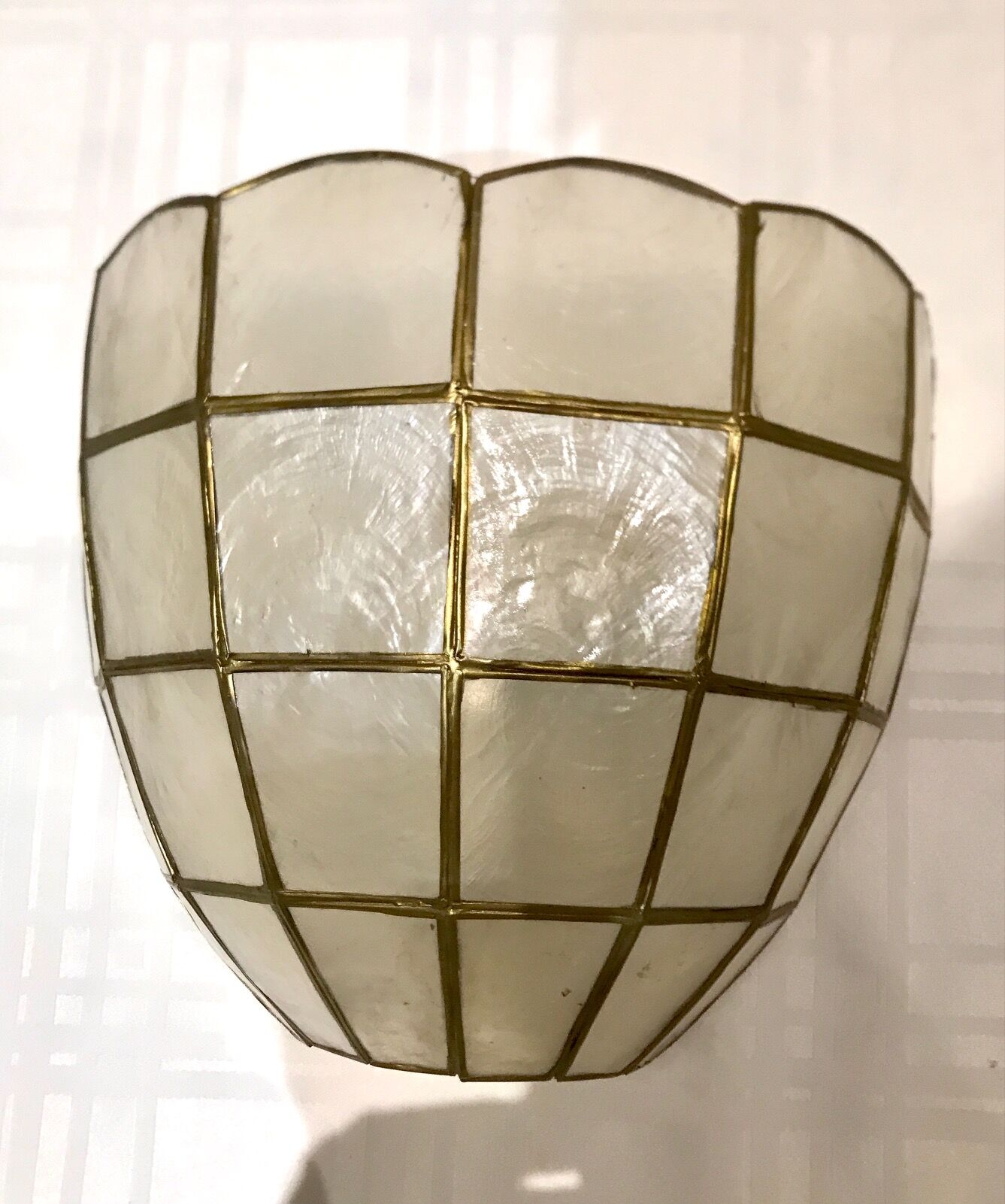 Pair of mother-of-pearl shell sconces