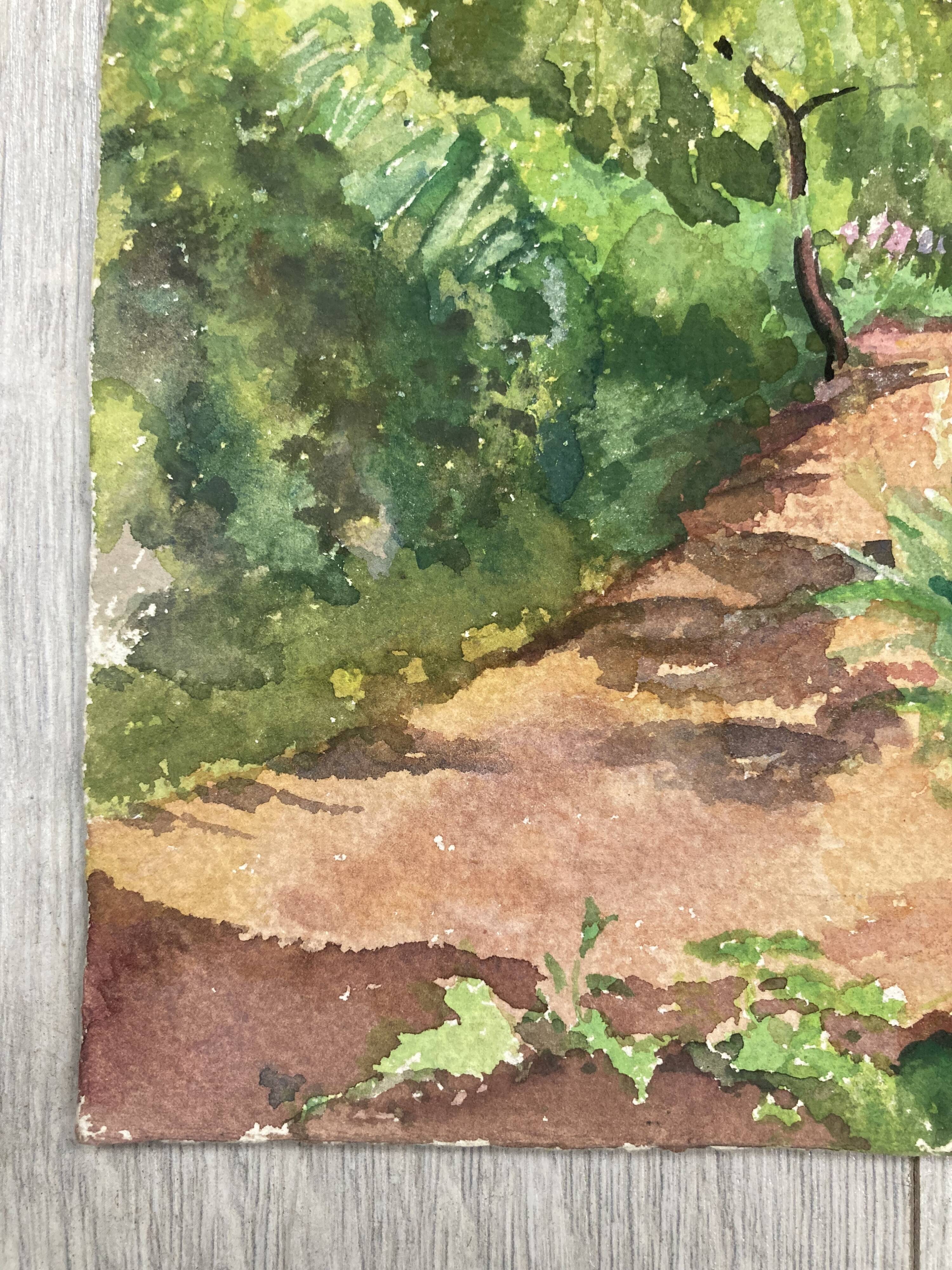 Aquarelle Maison aux Iris