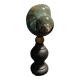 Cabinet of curiosities shell turbo imperialis on base