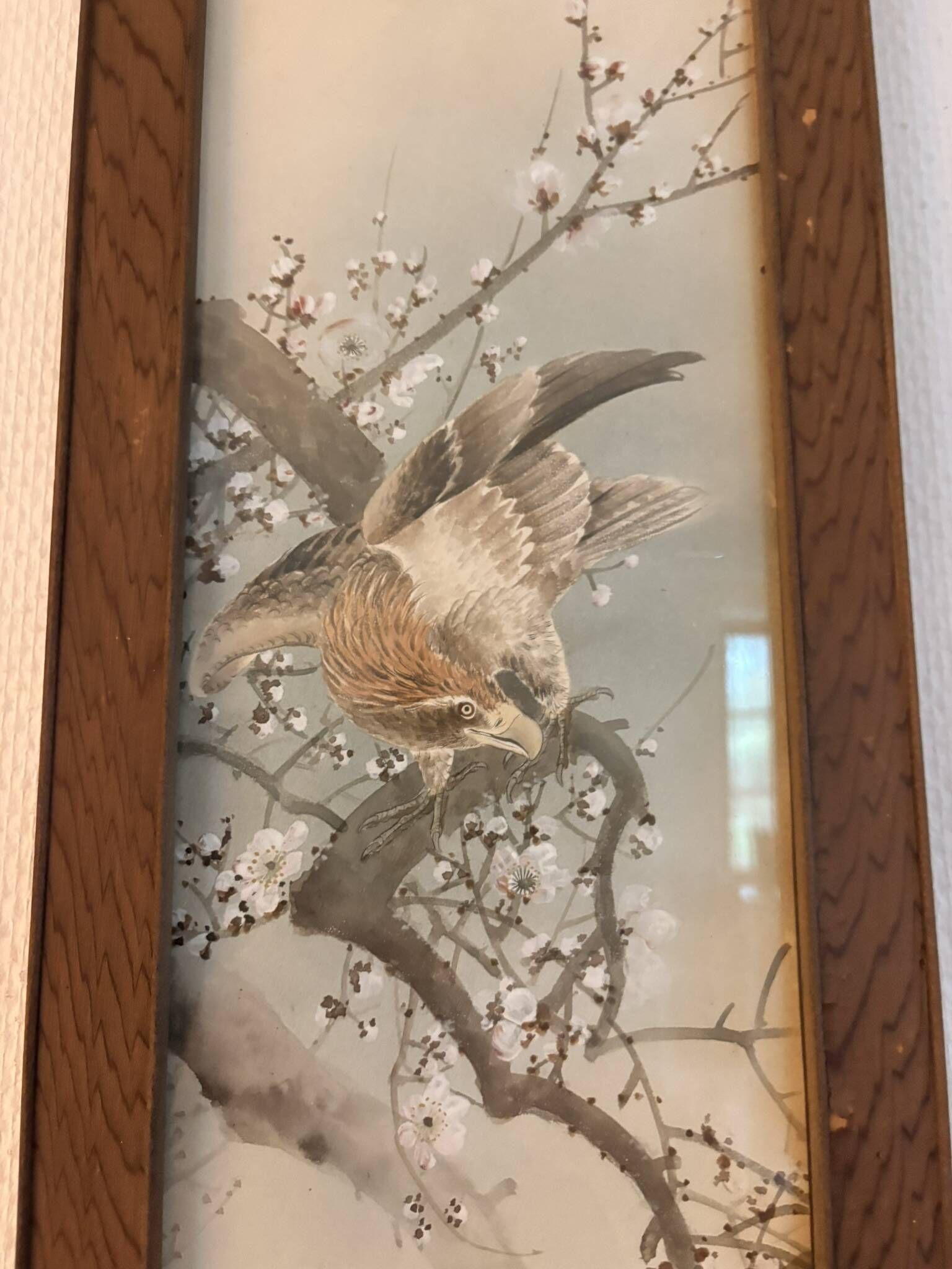 Japanese Sumi-e Painting Eagle Plum Blossom Japan Kakemono Kacho-ga