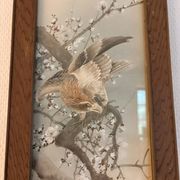 Japanese Sumi-e Painting Eagle Plum Blossom Japan Kakemono Kacho-ga