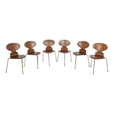 Chaises de salle à manger Model 3101 Ant du milieu du siècle par Arne Jacobsen pour Fritz Hansen, Danemark, années 1970, ensemble de