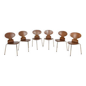 Mid-Century Model 3101 Ant Dining Chairs by Arne Jacobsen for Fritz Hansen, Denmark, 1970s, Set of