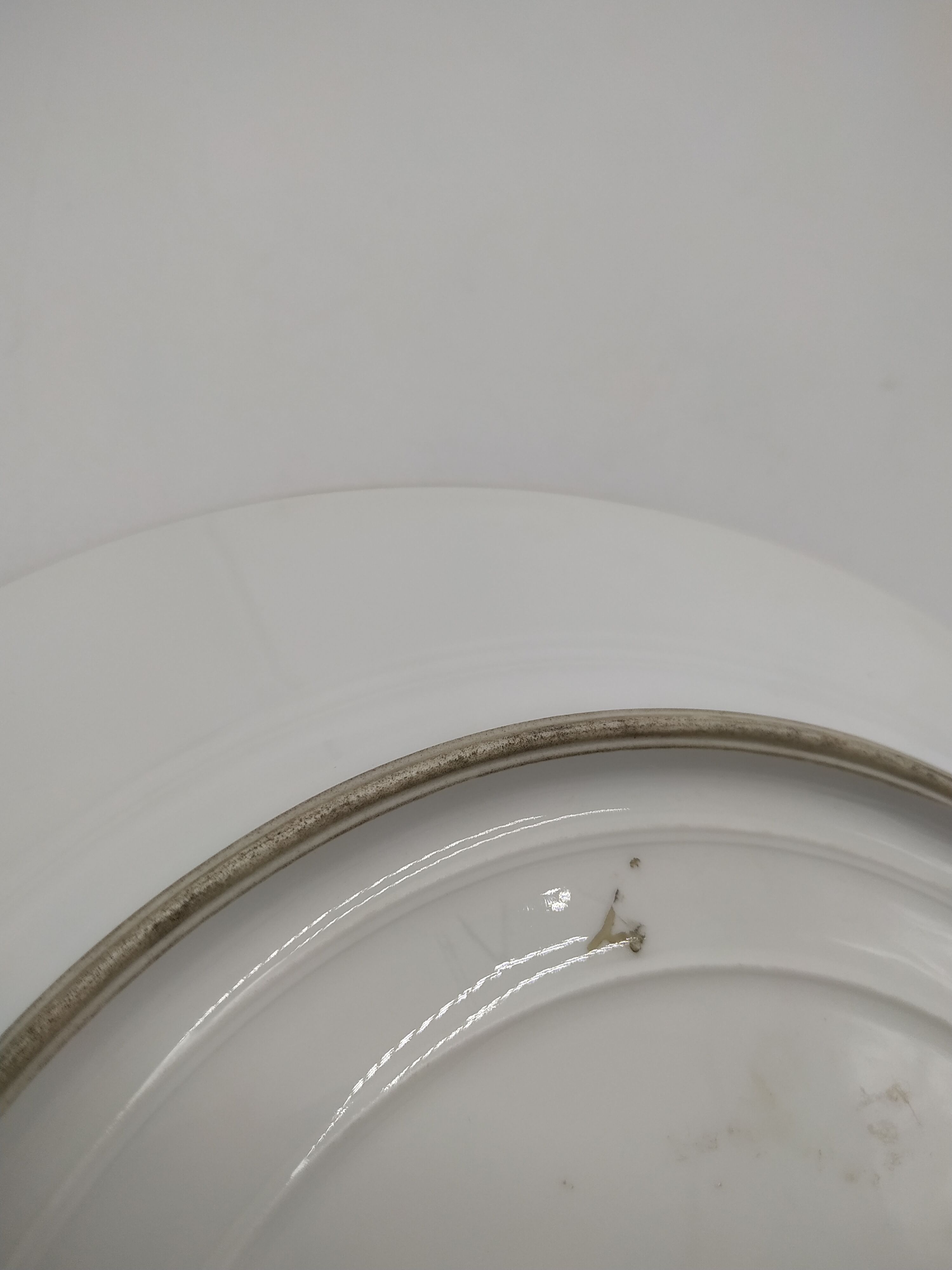 Decorative plate of the manufacture of Sèvres bouquet of dalhias
