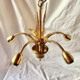 Vintage chandelier in gold metal and mother-of-pearl petals - 5 branches