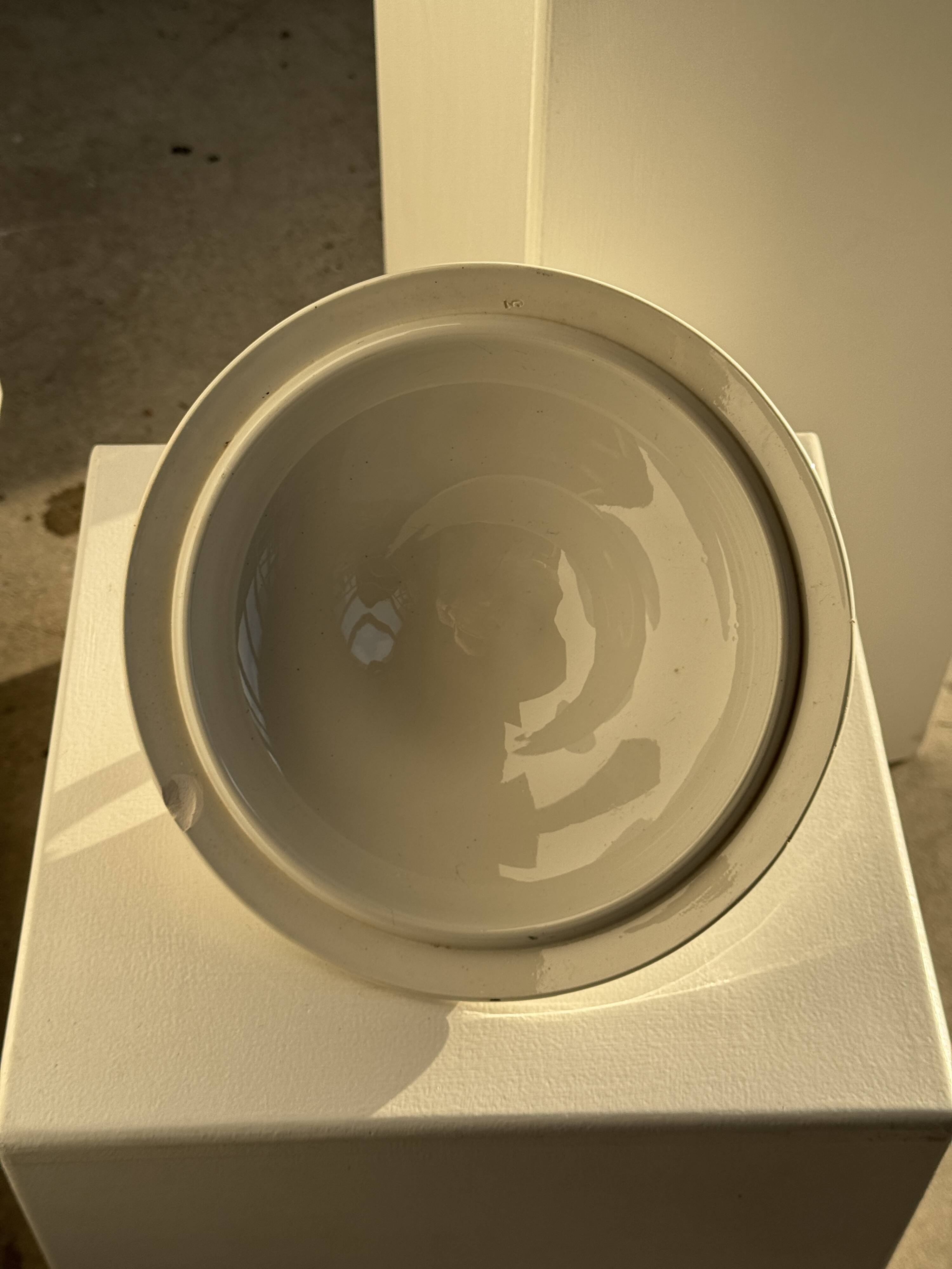 Covered soup tureen or vegetable dish in Saint Amand earthenware H29 D28