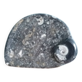 Marble trinket tray with ammonite fossil