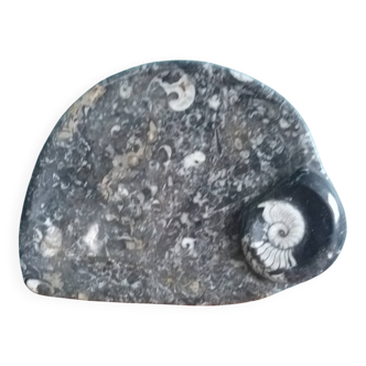 Marble trinket tray with ammonite fossil