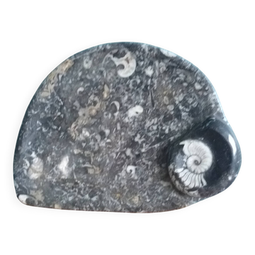 Marble trinket tray with ammonite fossil