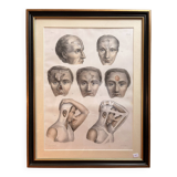 Gravure Plastic Surgery Rhinoplasty NICOLAS Jacob Bourgery Anatomy