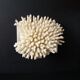 Coral on marble base