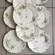set of 9 plates Clématites porcelain Limoges Art Nouveau