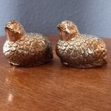 Salt and pepper shaker