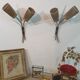 LUNEL wall lamps - Pair of vintage wall lamps - Antique light fixtures