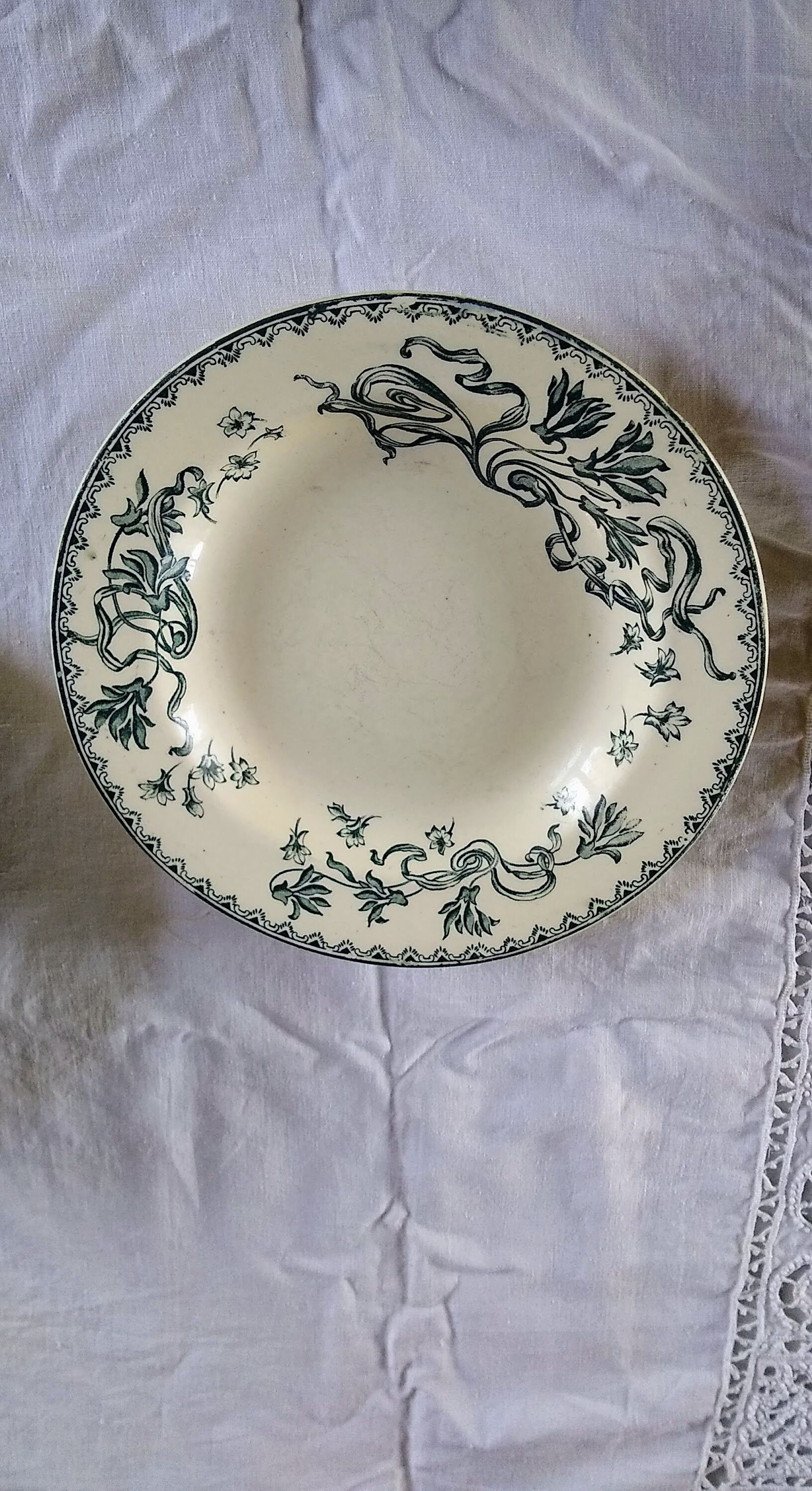 9 flat earthenware plates motif Herbarium and Salins