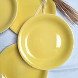 Villeroy & Boch yellow dinner plates