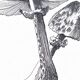 Illustration " Pick " A3