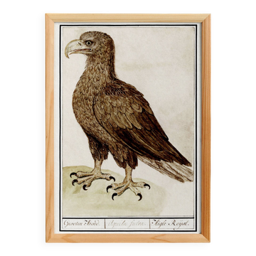 Affiche sur l'aigle, d’après une gravure ancienne de 1610