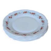 6 assiettes à dessert