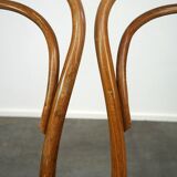Joli ensemble de 2 chaises de bistrot vintage marron avec assises tressées