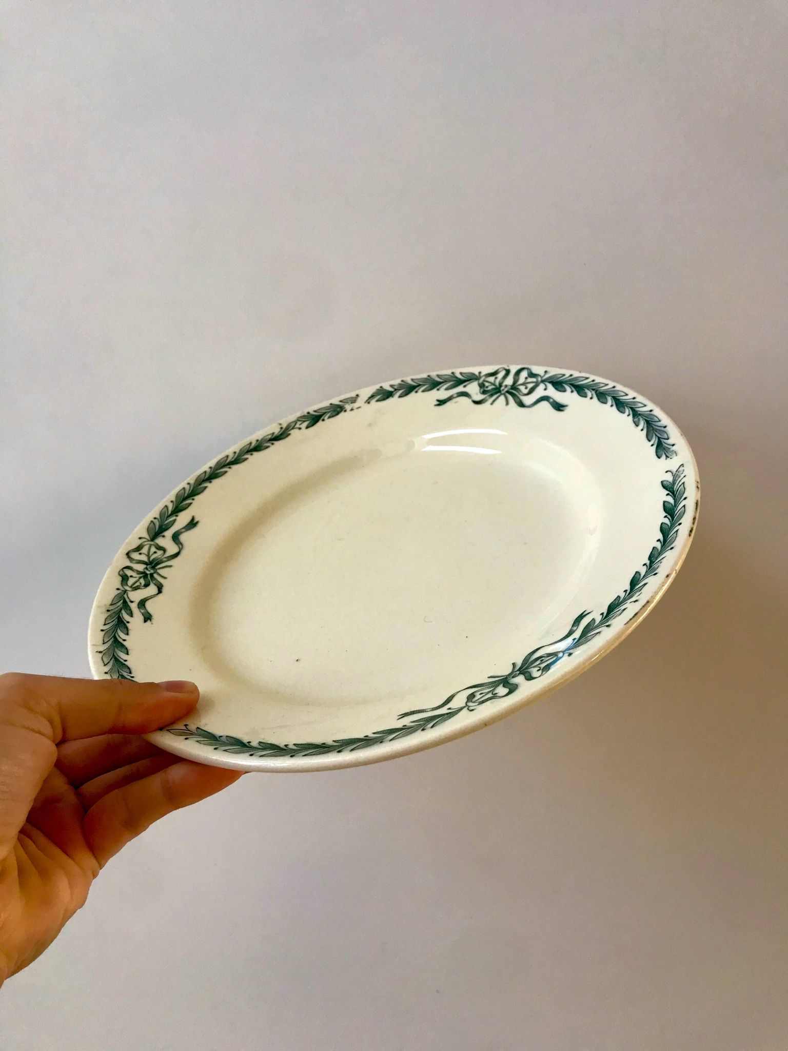 set of 5 large flat plates in Terre de Fer Longchamp model Belleville late 19th century