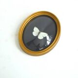 Butterfly frame under curved glass