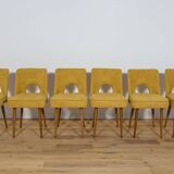 Polish Shell Chairs from Bydgoszcz Furniture Factory, 1960s, Set of 6