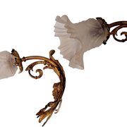 Appliques style louis xv en bronze (la paire )