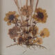 Herbier vintage