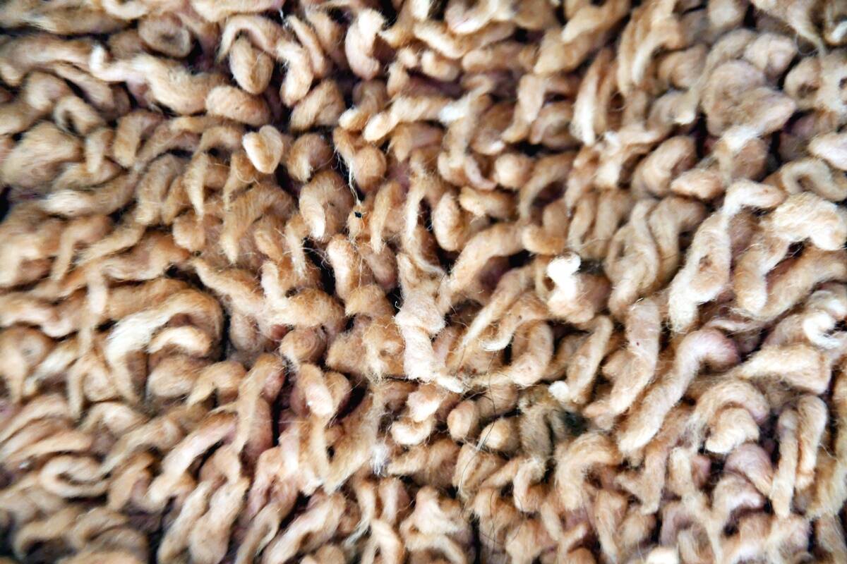 Moroccan Berber rug Beni Mguild vintage 320 x 220 cm