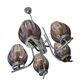 5-light art deco chandelier