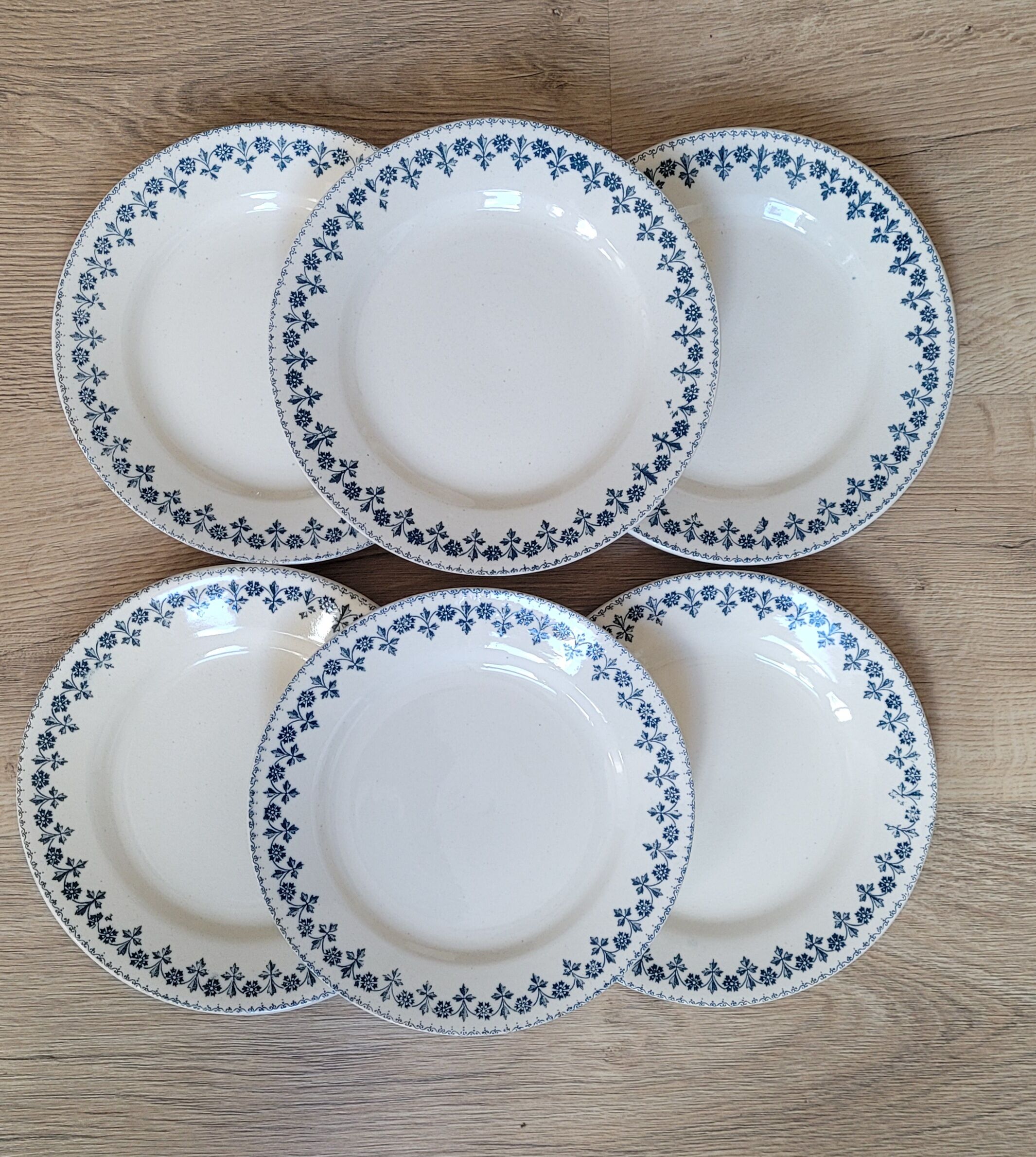 Set 6 plates Terre de Fer Barbeaux