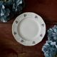 Plates and dish in genuine opaque Digoin Sarreguemines.