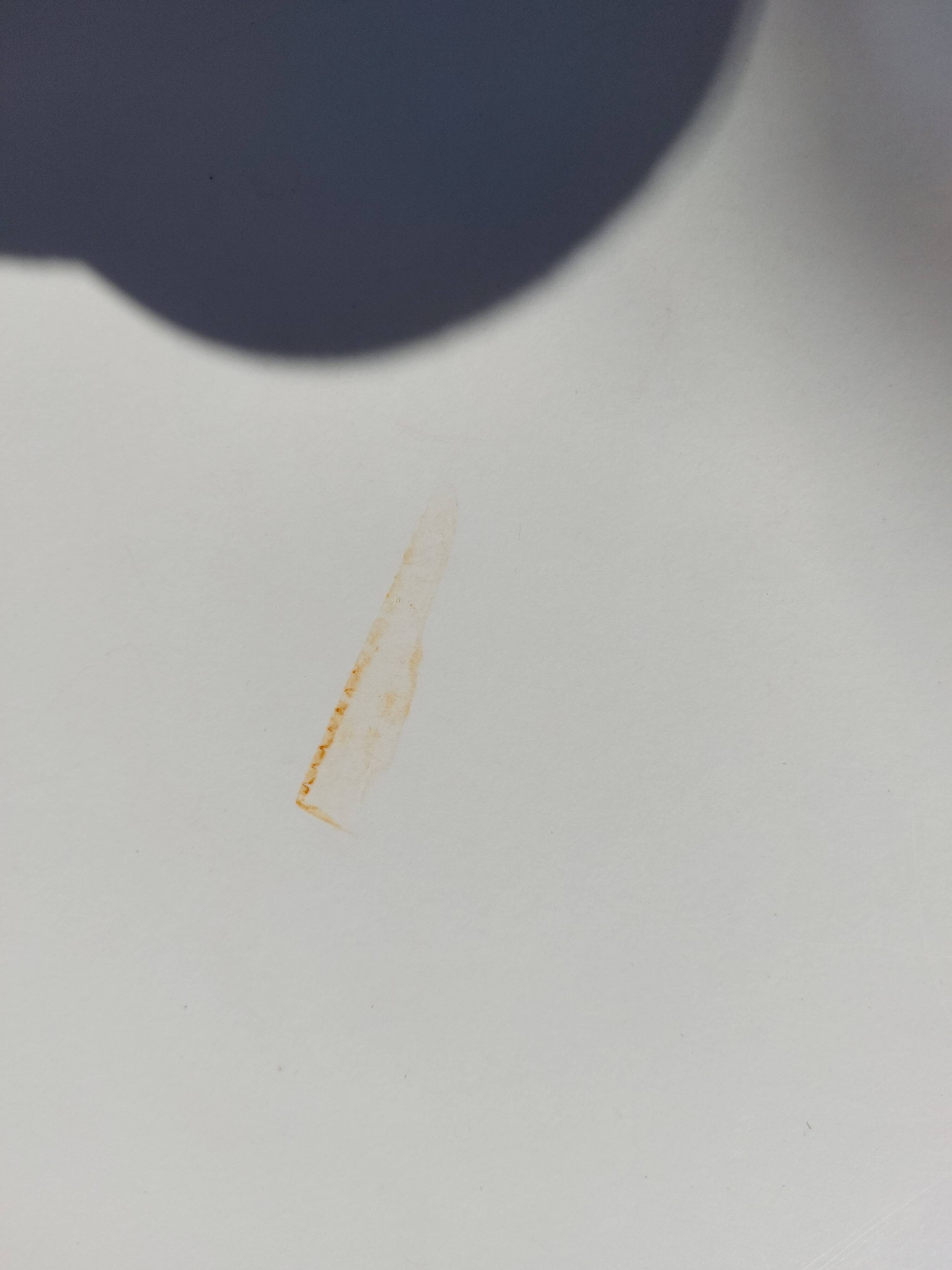 Closet in blue formica