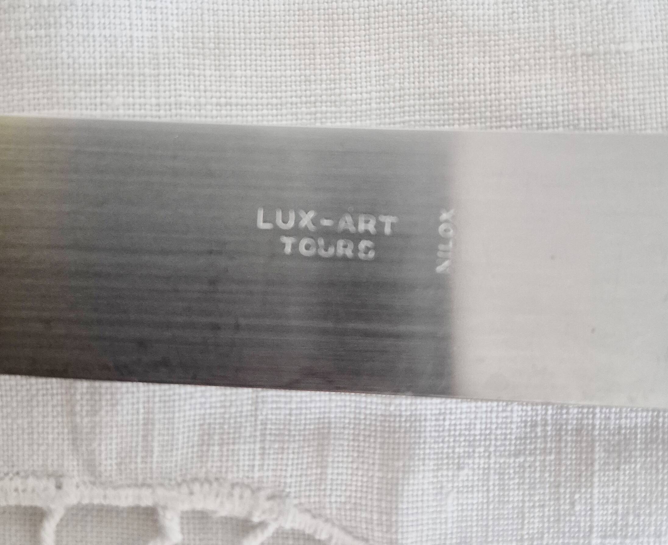 Silver and ebony table knives, stainless steel blade, Louis XVI style