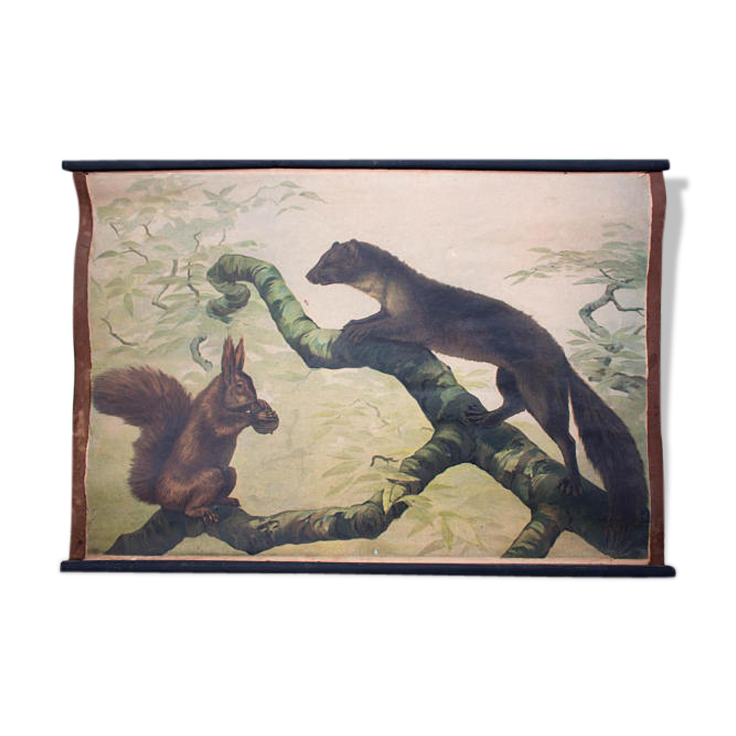 Poster "squirrel" by C. C. Meinhold & Söhne Dresden in 1891