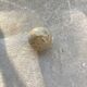 Polished stone ball sphere