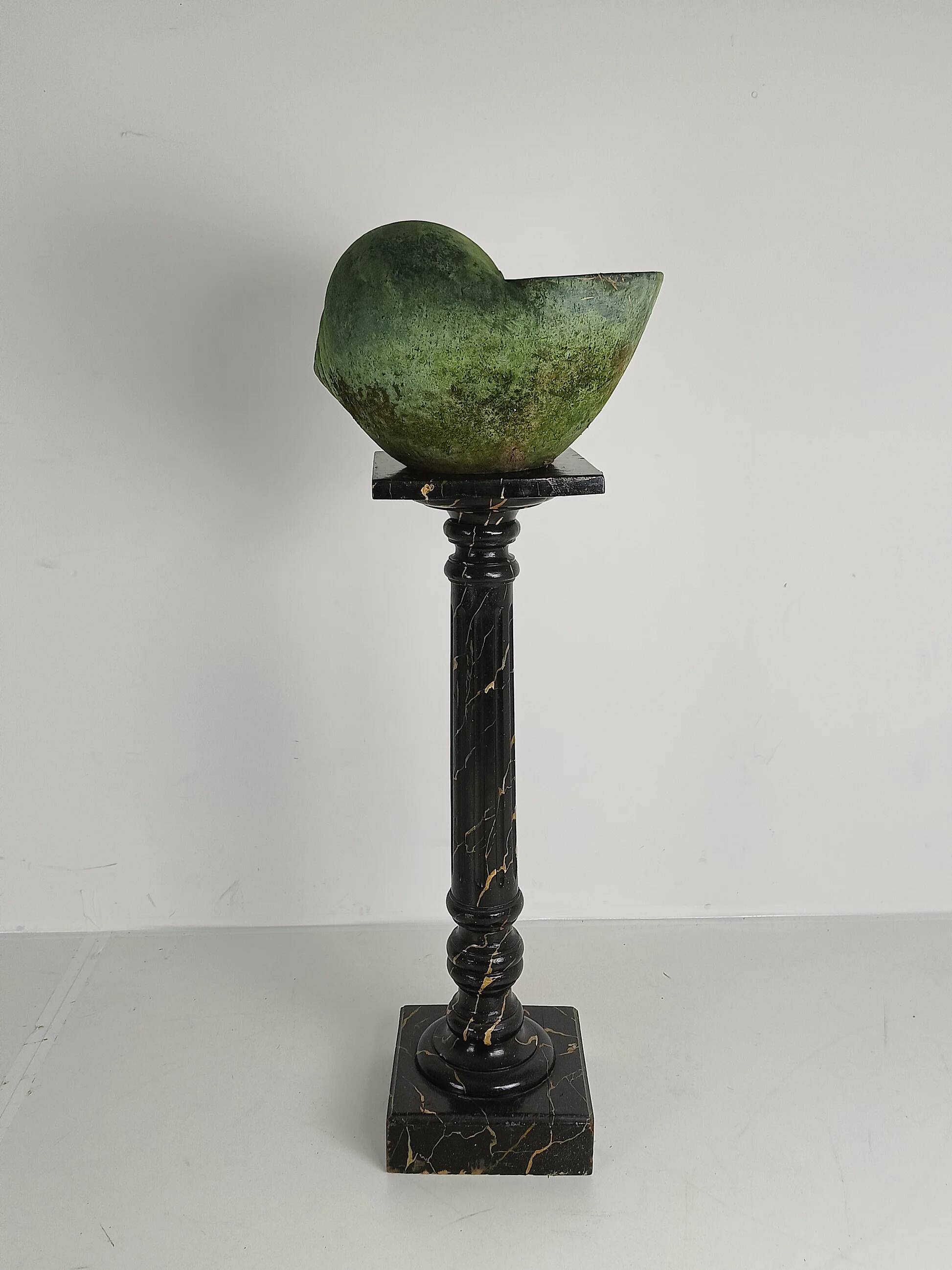 Beautiful terracotta cochlea with amazing patina