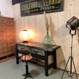 Ancient beech and oak establishment