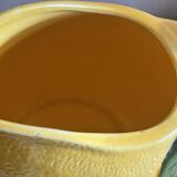 Lemon slip pitcher