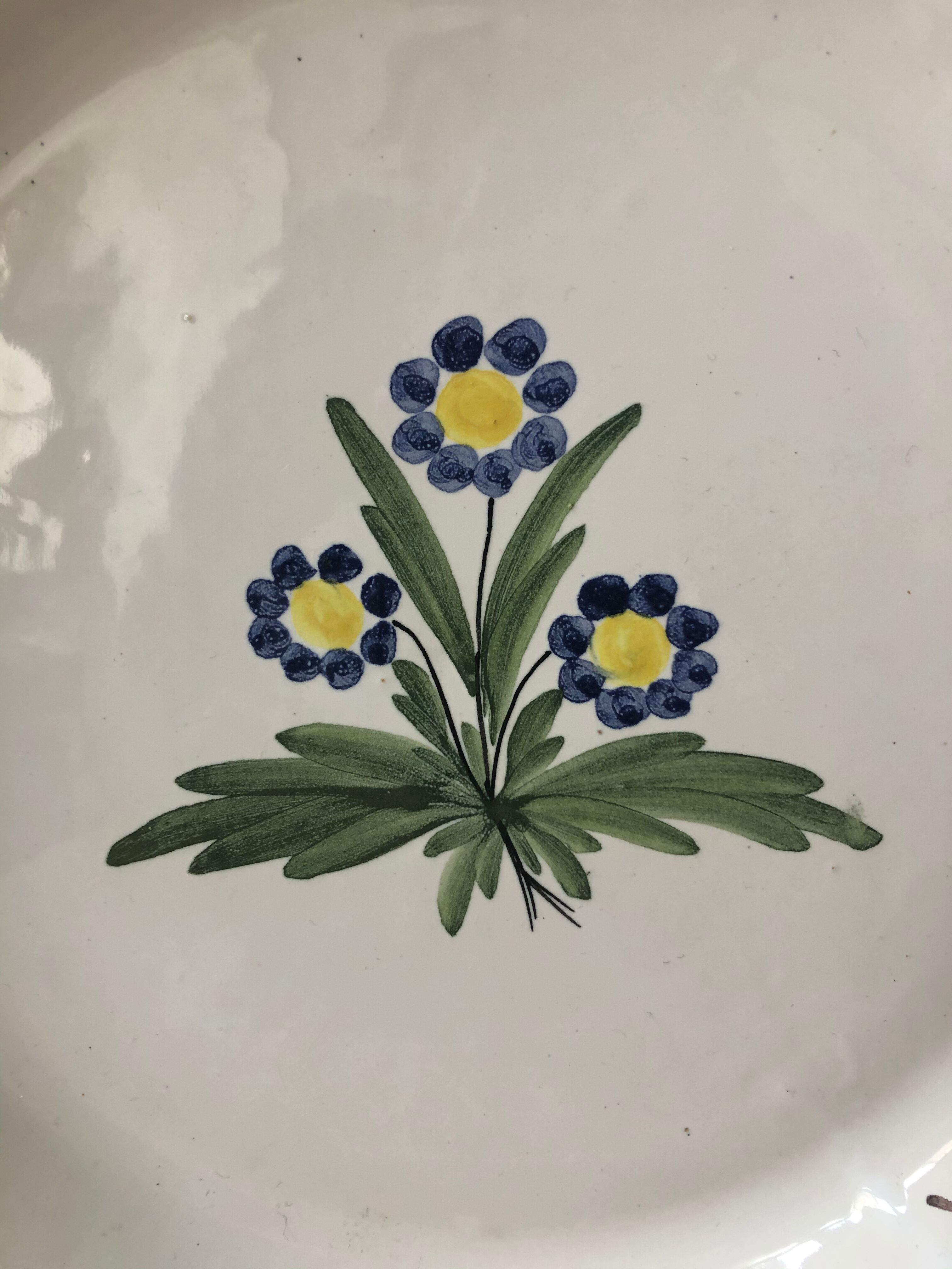 Old 19th century plate hand-painted wally earthenware or other