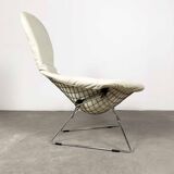 Bird lounge chair by Harry Bertoia for Knoll, 1970