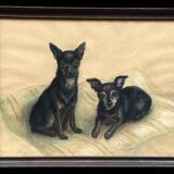 Portrait of dogs