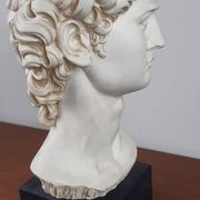 Large vintage bust "David" by Michelangelo