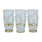 Set of 6 glasses feathered cups